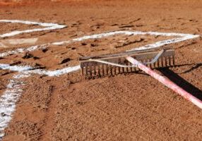 rake-local-field-5c7fdc5fe9fed